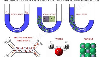 UC Irvine CEE-271: Topic 2 (Soil water potential)