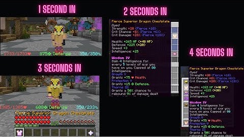 Hypixel Skyblock Duplication Glitch