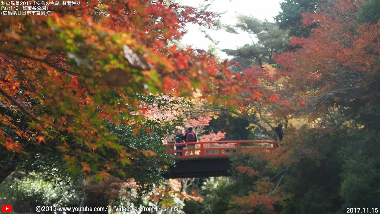 秋の風景 安芸の 宮島 紅葉 巡り Part1 6 紅葉谷公園 17 11 15 広島県 廿日市市 Youtube