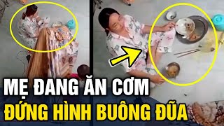 Tổng hợp những pha 'TRỜI ĐÁNH TRÚNG MIẾNG ĂN' đến từ vị trí 'CON NGOAN TRÒ GIỎI' | Tin 3 Phút Hài