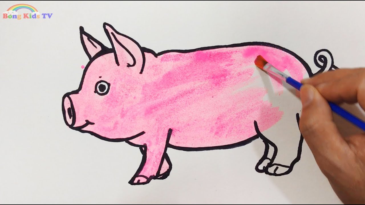 Cách Vẽ Con Lợn (Con Heo) - How To Draw A Pig - Youtube