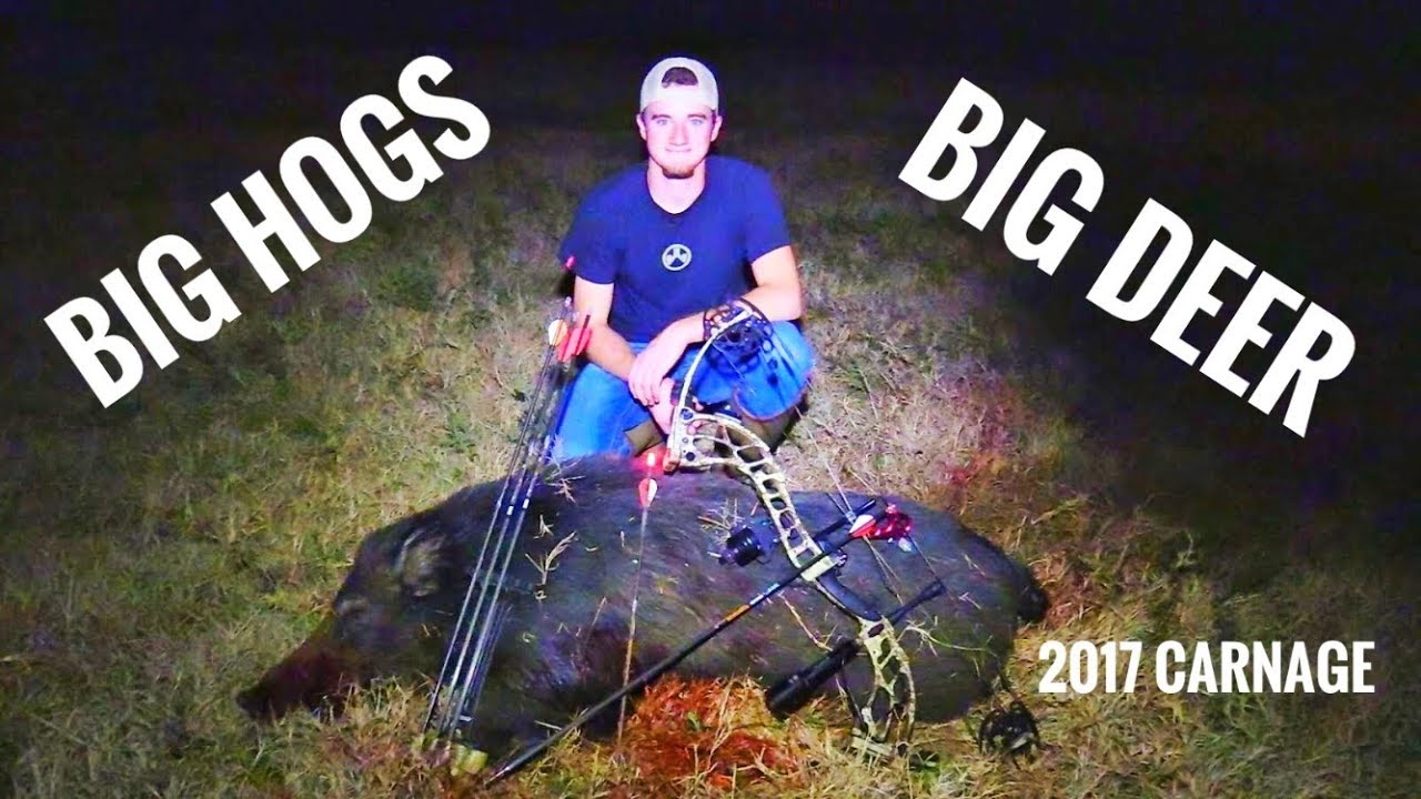 BOWHUNTING KILL REEL!! BEST HUNTS OF 2017 YouTube