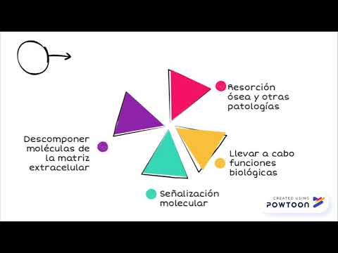 Vídeo: Inflamación Y Cáncer De Mama. Las Metaloproteinasas Como Efectores Comunes De Inflamación Y Descomposición De La Matriz Extracelular En El Cáncer De Mama