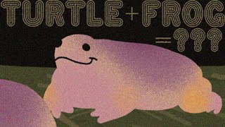 What even is this animal and why is it called a turtle frog???
Very cool thank you
Here is the ONE AND ONLY video online I could find of them:
https://x.com/historyinmemes/status/1608356236961144833?s=20
…pretty sure it’s freebooted, if someone can find the original PLEASE LET ME KNOW because all I find are reposts :^(
Video of shovelnose frog (similar anatomically but different from the turtle frog)
https://www.youtube.com/watch?v=zSSoV9kAB9g&list=LL&index=1
Video of Bushveld rain frog digging with its butt:
https://youtu.be/OtlfjI2Q8tA?si=xI4yDUj-ybAwUgWT
Sources:
https://www.iucnredlist.org/species/41171/78444058
https://museum.wa.gov.au/explore/frogwatch/frogs/turtle-frog
https://a-z-animals.com/animals/turtle-frog/
https://www.australiananimallearningzone.com/turtle-frog.htm
https://www.australiangeographic.com.au/blogs/creatura-blog/2014/12/turtle-frog-burrows-head-first/
https://www.australiangeographic.com.au/topics/wildlife/2017/10/the-frogs-of-australia/
https://www.ncbi.nlm.nih.gov/pmc/articles/PMC5351994/
https://critter.science/australias-turtle-frog/
https://www.friendsofqueensparkbushland.org.au/turtle-frog/ What even is this animal and why is it called a turtle frog???