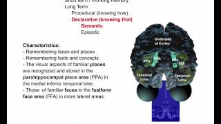Celebrity Lecture 12 Memory 2015 Net Worth