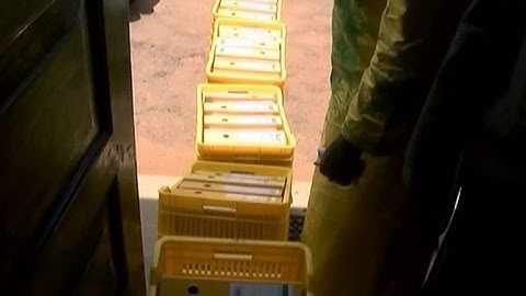 Museveni team delivers nomination forms and signatures to the EC