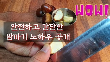 안전하고 쉽게 밤까기 방법, 생밤까기 요령, 집중력이 좋아지는 밤까는법