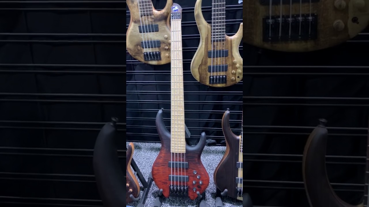 MTD headless 534-24 (5-string) NAMM 2019!!