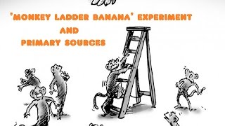 Famous JLB1568 | 'Monkey Ladder Banana' Experiment and Primary Sources Wealth