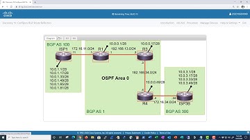 ENARSI Discovery Lab 19 Configuring BGP Route Reflectors