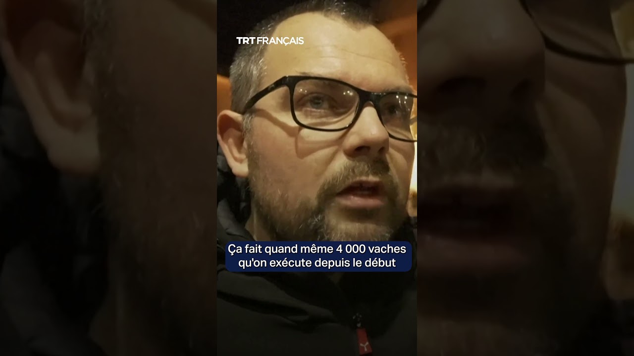 Des agriculteurs aspergent la pr&eacute;fecture de Montauban de sang de vache