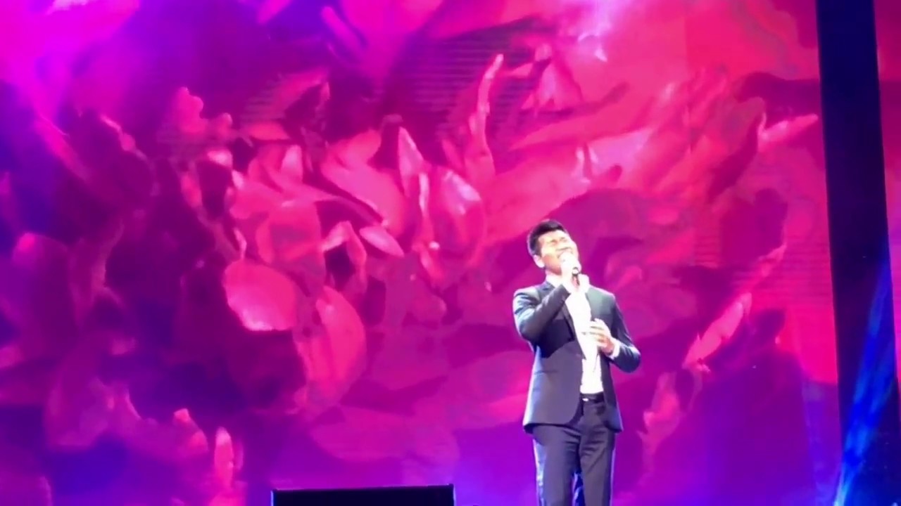 Tạ Quang Thắng - Bèo Dạt Mây Trôi (FANCAM Korean 4.2017 - WE ARE ONE Festival)