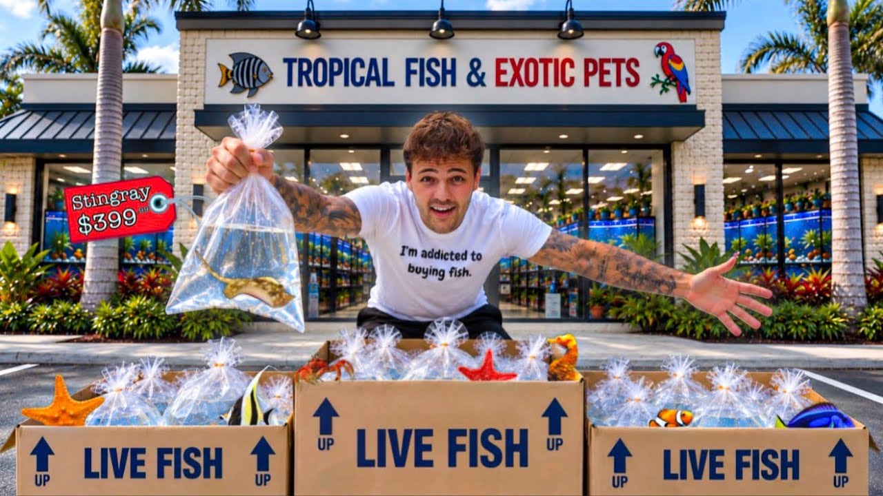 Buying the MOST EXPENSIVE FISH at Every PET STORE!!