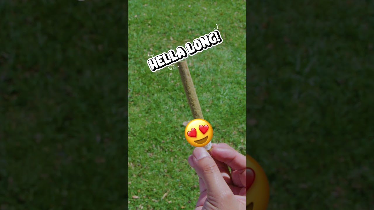 Why you should have Left Coast blunts!