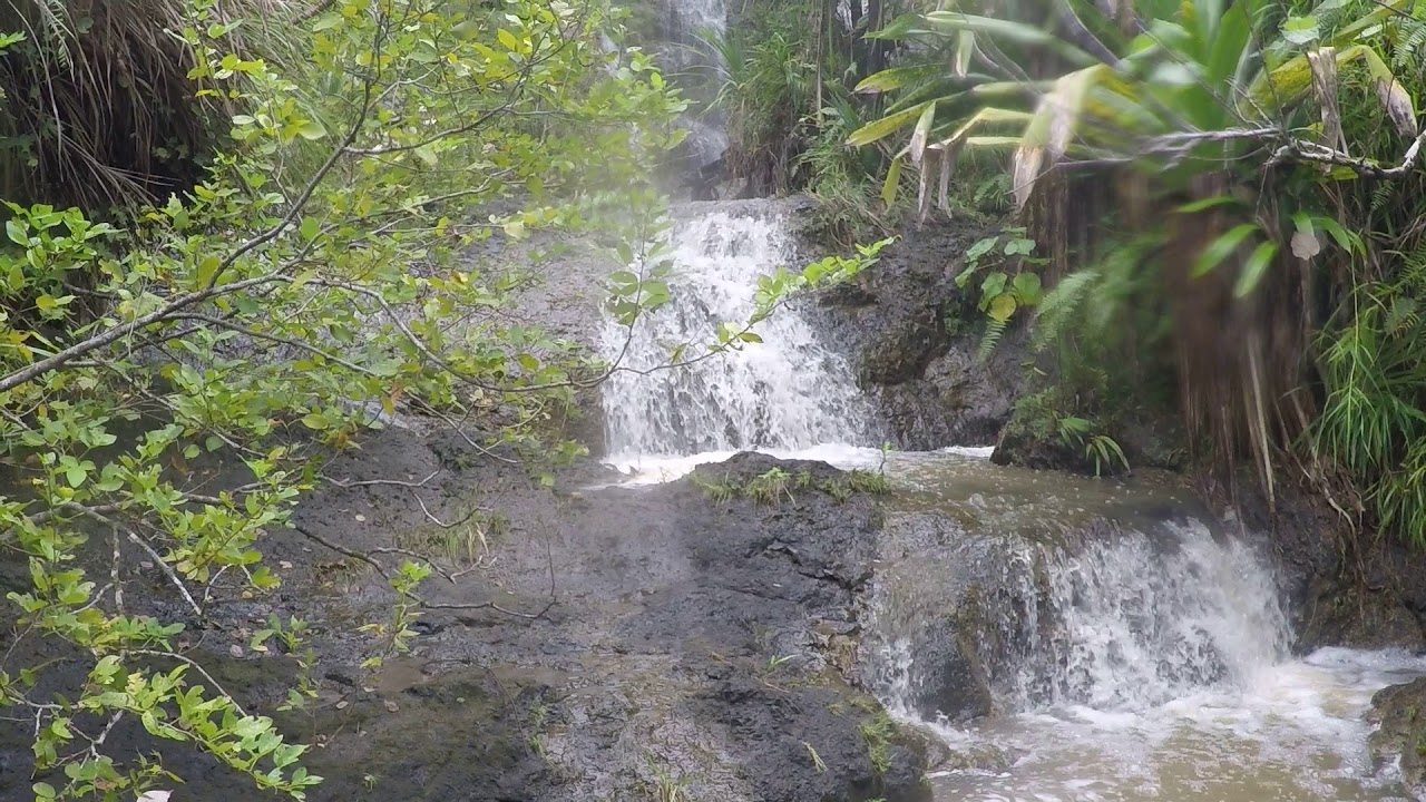 Clint's Falls 10-14-17 camera iphone 8 plus apk