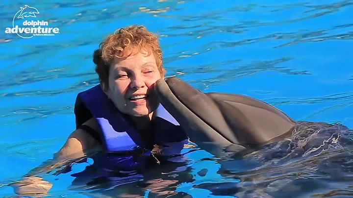 #Dolphin Swim Zukerman