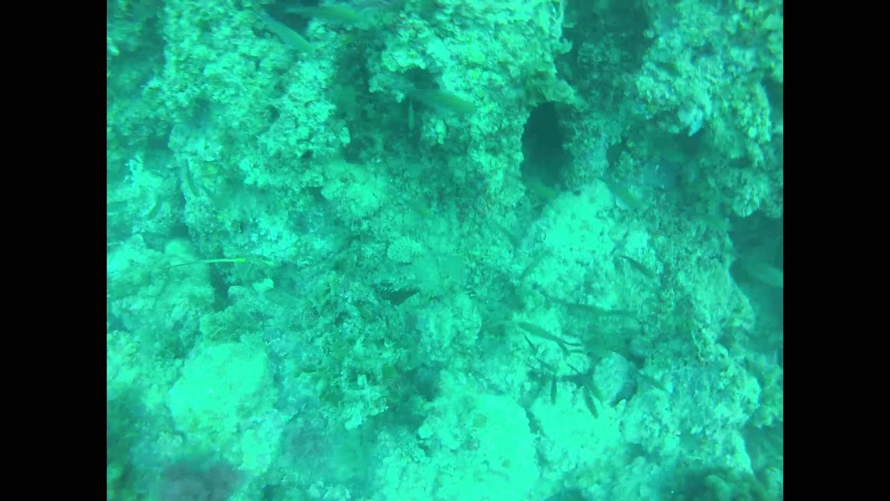 4 days of diving in Moraira