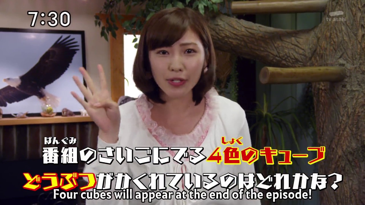 Doubutsu Sentai Zyuohger - Animal Hide and Seek (Compilation 5) End