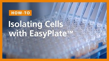 How to Isolate Cells in 96-Well Plates Using the EasyPlate™ Cell Separation Magnet