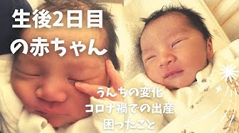 生後2日目 Youtube 生後2日目 Youtube