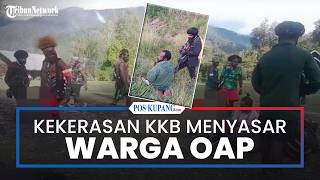 Kekerasan dan Pembunuhan KKB juga Menyasar Warga Asli Papua