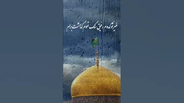 یا امام رضا سلام محمدحسین پویانفر شیعه حیدر 