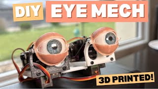 DIY Animatronic Eye Mechanism
