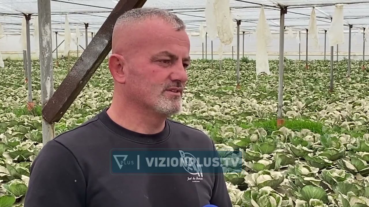 Përmbytjet shkaktojnë dëme në sera, fermerët në Cërrik: Shteti të na ndihmojë, po falimentojmë