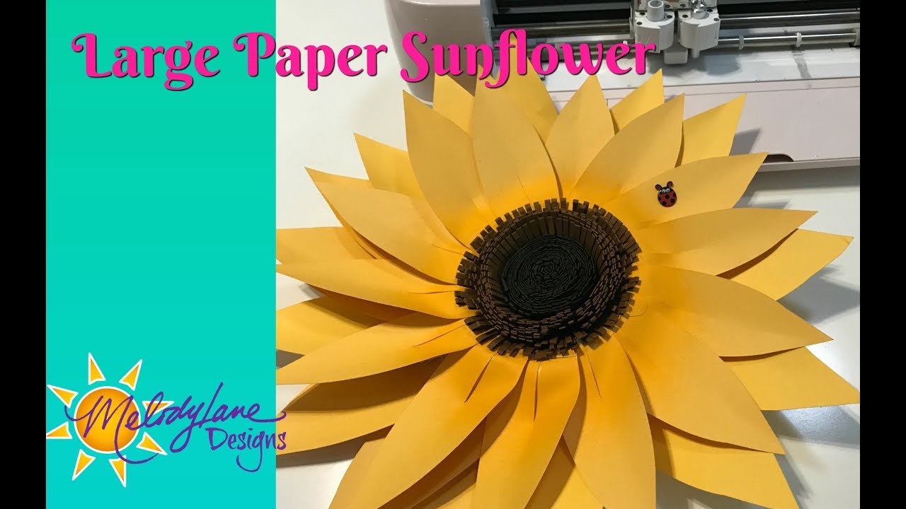 Download Big Paper Sunflower - YouTube