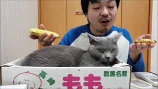 池の妖精おじさんが「落としたのはどっち？」って聞いてきてキモイんですけど