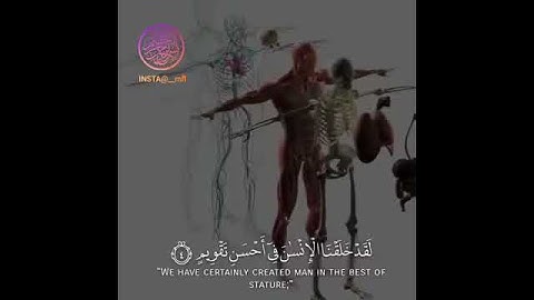 سوره التين والزيتون|| حالات واتس اب دينيه || ارح مسامعك بكلام الله