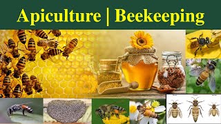 Apiculture | Bees species in Apiculture | Bee Keeping| Bee species |A. dorsata | A. mellifera Part 1