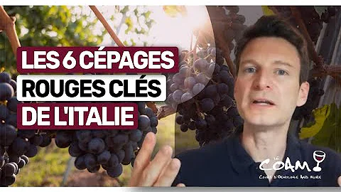 Quel est le meilleur vin rouge d'Italie ?