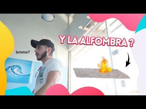 y que paso