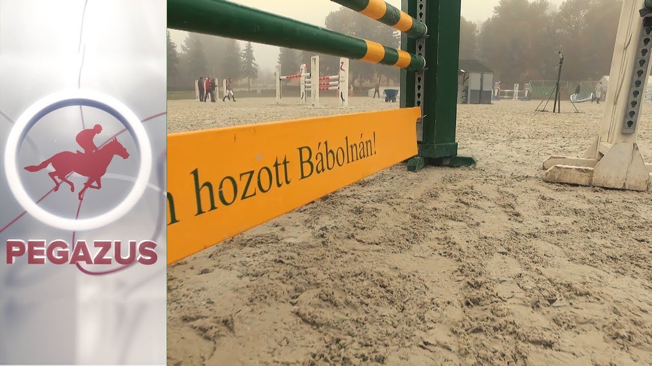 2017 November | Talent-felvételi | Pegazus Magazin | m4Sport