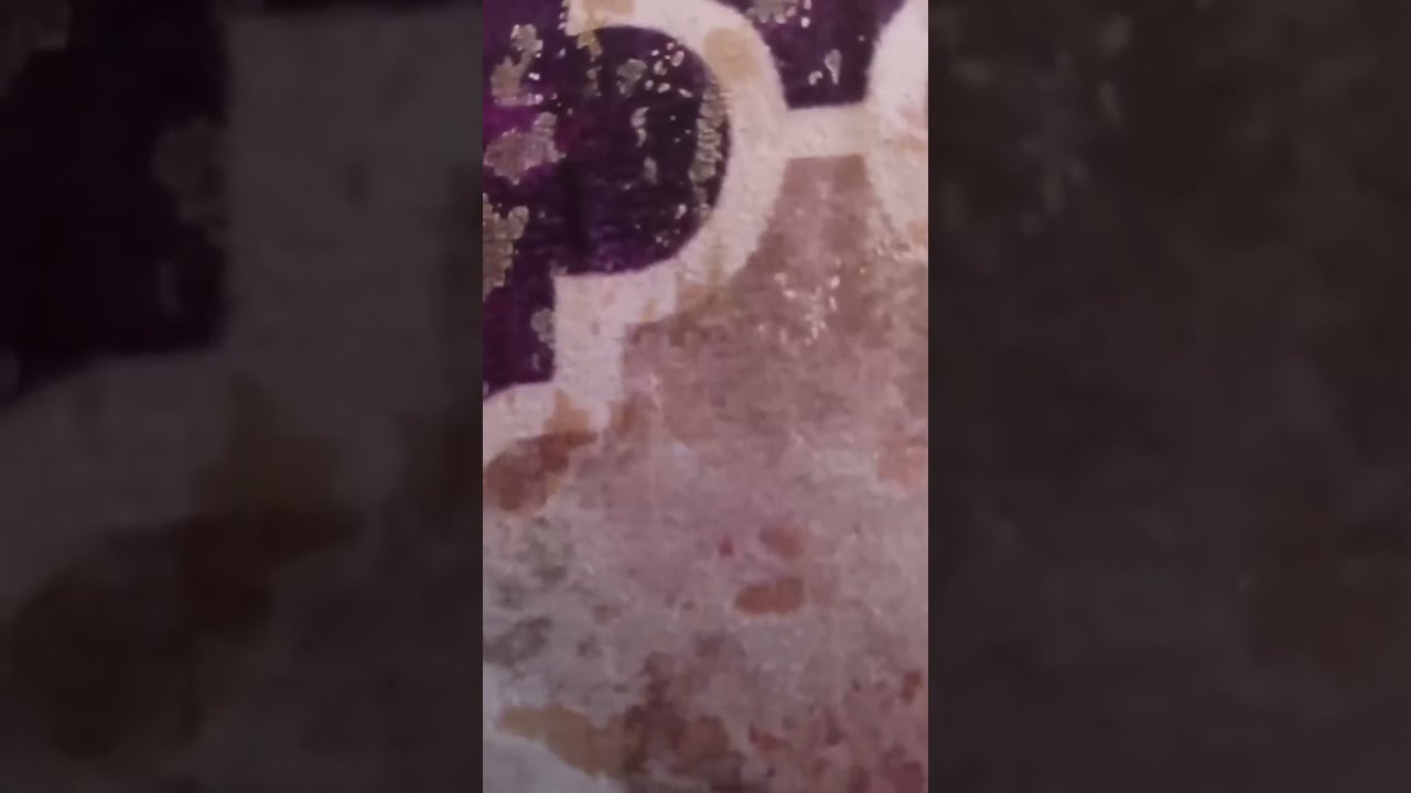 بث من داخل شمال قطاع غزه