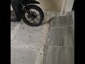 Sampah