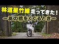 5.6Km完抜け林道。東京都あきる野市の林道星竹線を走ってきた！【スーパーカブ70】【モトブログ】【motovlog】【林道】【ツーリング】