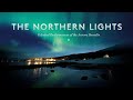 Singh kaur  spark in the night northern lights