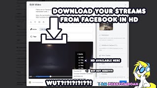 How To Download Your Facebook Videos Streams in HD (No Extra Software required) screenshot 4