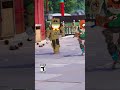 Drop into the new Quints 5-person playlist now for extra chaos!