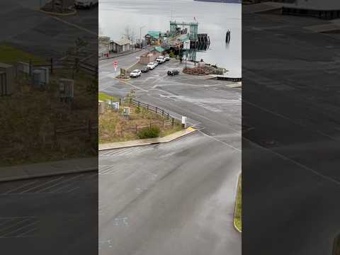 Videó: Teendők a Point Defiance Parkban Tacomában