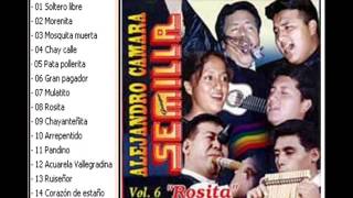 Video thumbnail of "Alejandro Camara y el Grupo Semilla - Disco -  Rosita"