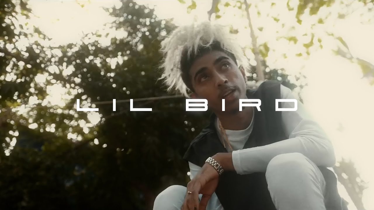 [FREE] Mc Stan Type Beat - LIL BIRD - 2026