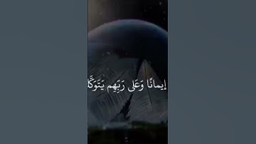 #قرآن #قرآن_كريم #قران_كريم #مصحف_التجويد #قرأن #قرآن