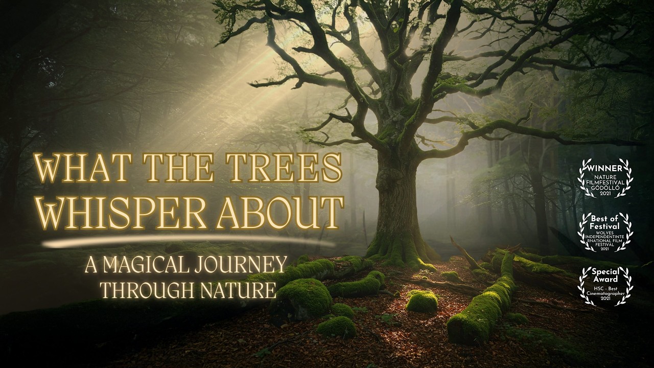 Whispers Of The Forest Nature Documentary On Untouched Ecosystems Hidden Life