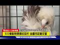 【CNN精選】美破獲「毒窟動物園」 搶救500隻飛禽走獸｜TVBS新聞 @TVBSNEWS01