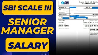 SBI Senior Manager Latest Salary Slip 2022 | Salary of scale 3 in SBI | Banker Couple