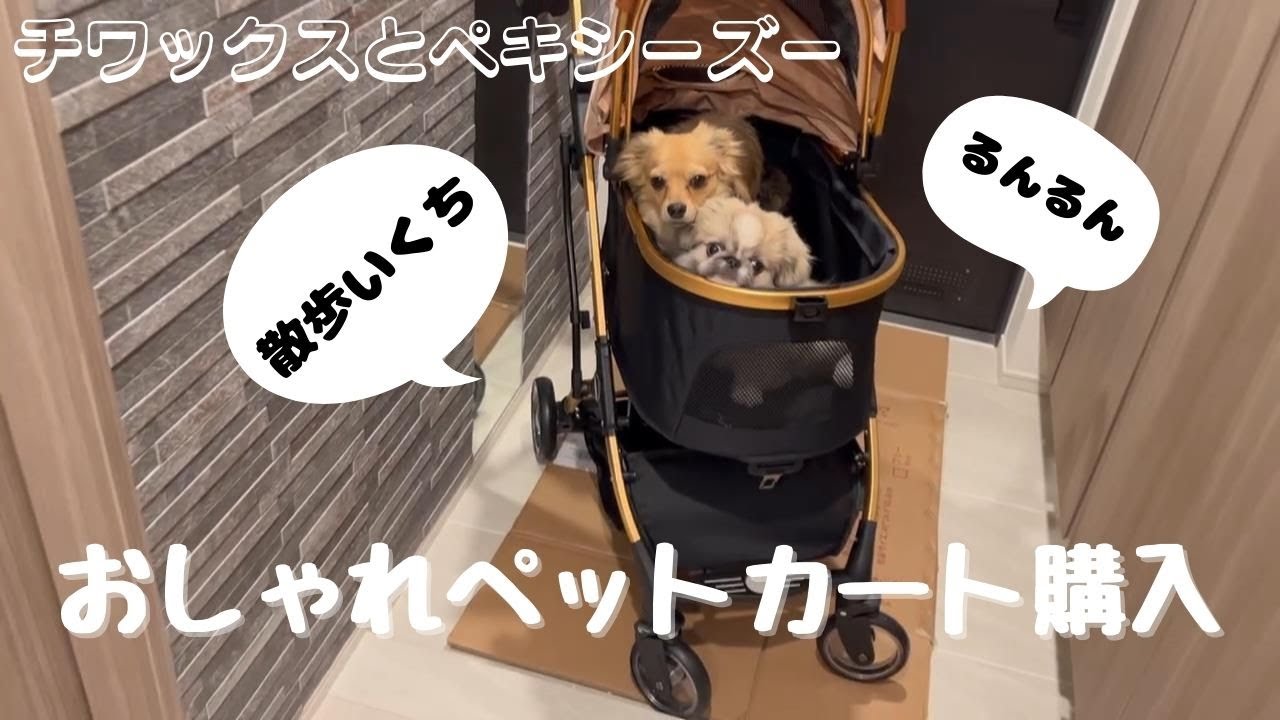(極美品)大人気、SKISOPGO、ペットカート、人気色、茶、金フレーム、レザー おしゃれペットカート購入~!Amazon「SKISOPGO 4輪ペットカート
