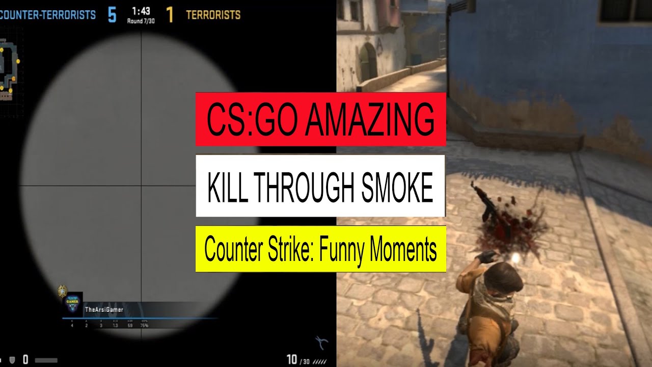 CSGO Amazing Kill Through Smoke (Counter Strike: Funny Moments)